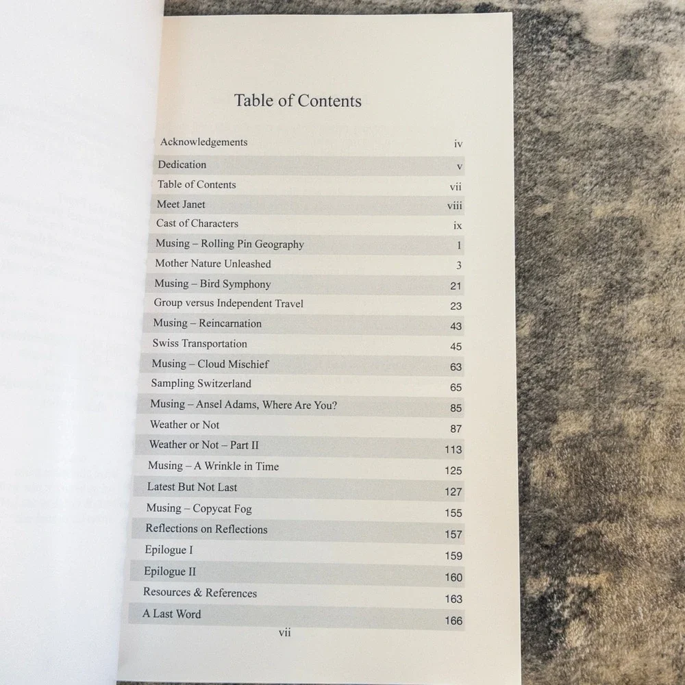 Switzerland A Family Odyssey Janet McCrea Dieman Grandparent Travel Memoir